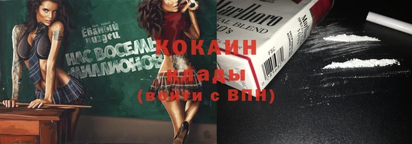 твердый Балахна
